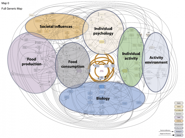 Obesity_Map_1-620x462